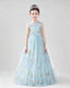 Dideyttawl Girls Formal Dress with Floral Embroidery and Illusion Tulle Skirt