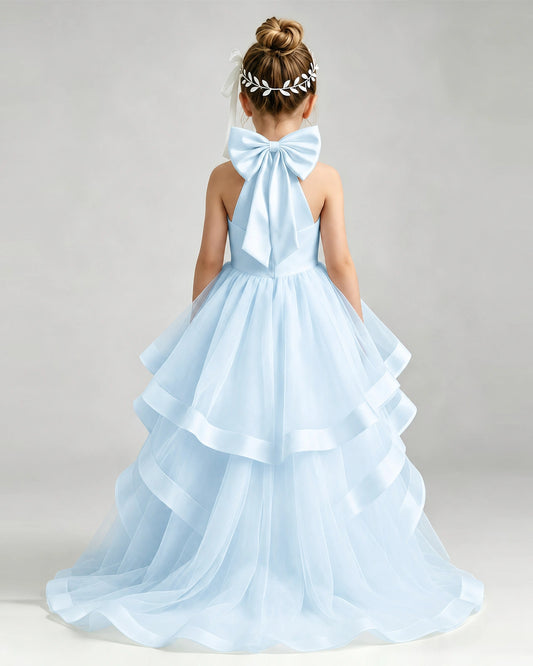 Baby Blue Tulle A-line Pageant Dress Back View