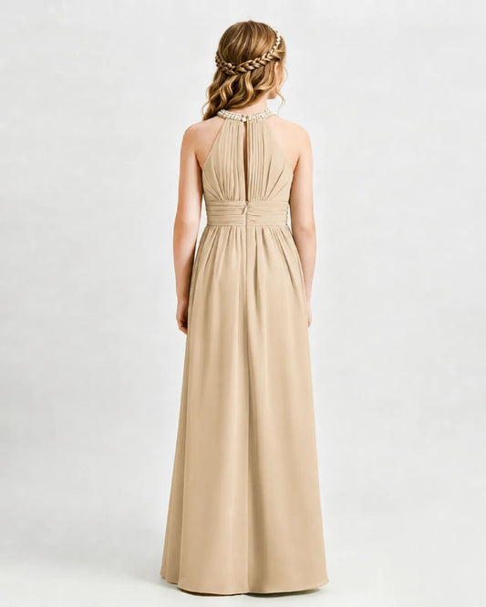 Champagne Chiffon A-line Junior Bridesmaid Dress Back View