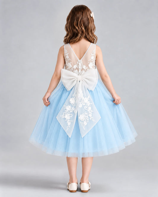 Baby Blue A-line Flower Girl Dresses Back