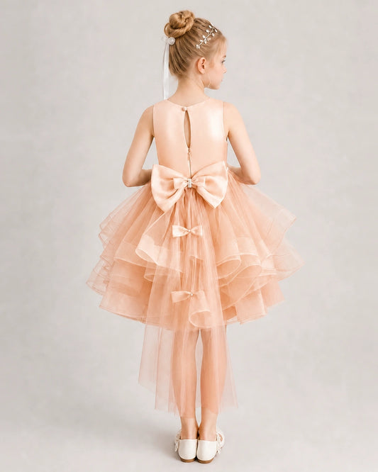 Blush Pink Tulle A-line Girls Formal Dress Back View