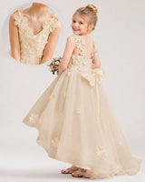 Champagne Tulle A-line Flower Girl Dress Back View