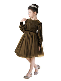 Dideyttawl Spring Girls Short Velvet Girls Formal Dress Elegant Formal Dress Lantern Long Sleeves Girls Birthday Party Dress