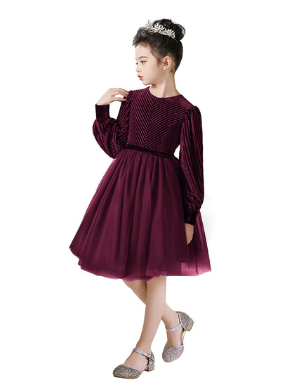 Junior Bridesmaid Dress | Flower Girls Dresses | Velvet Winter Dress