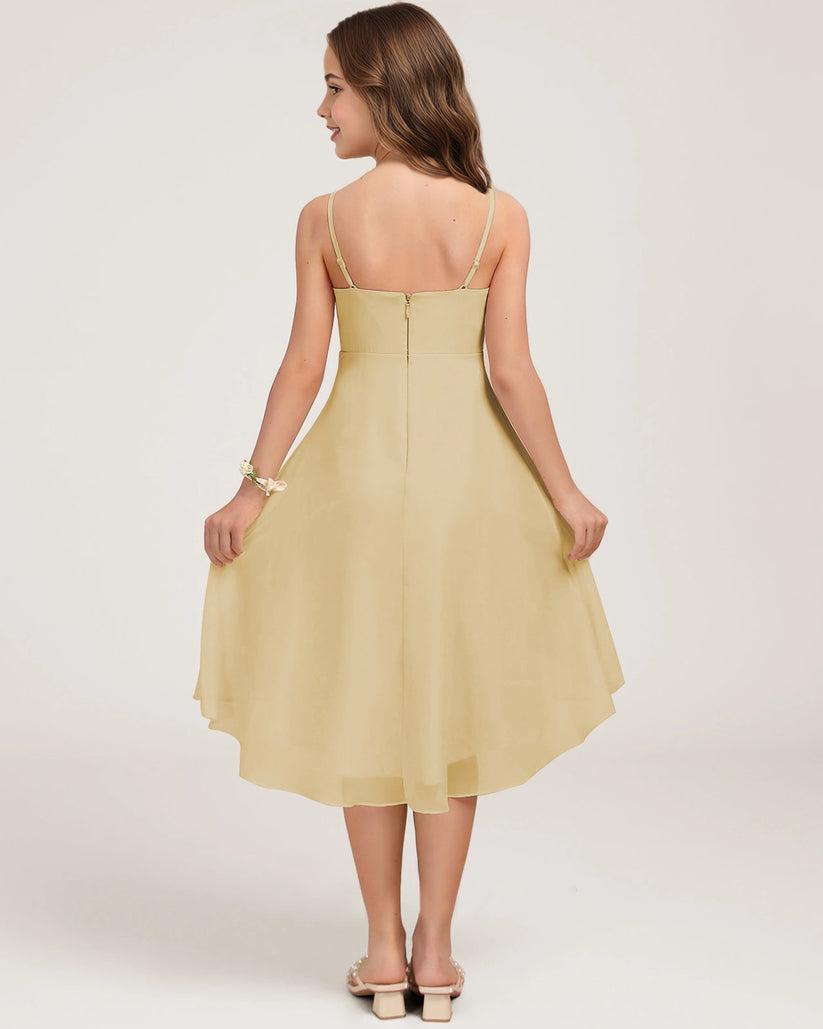 Champagne Chiffon A-line Junior Bridesmaid Dress Back View