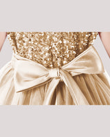 Champagne Tulle A-line Girls Formal Dress Back View
