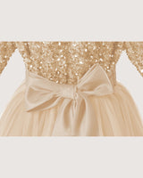 Champagne Tulle A-line Girls Formal Dress Back View