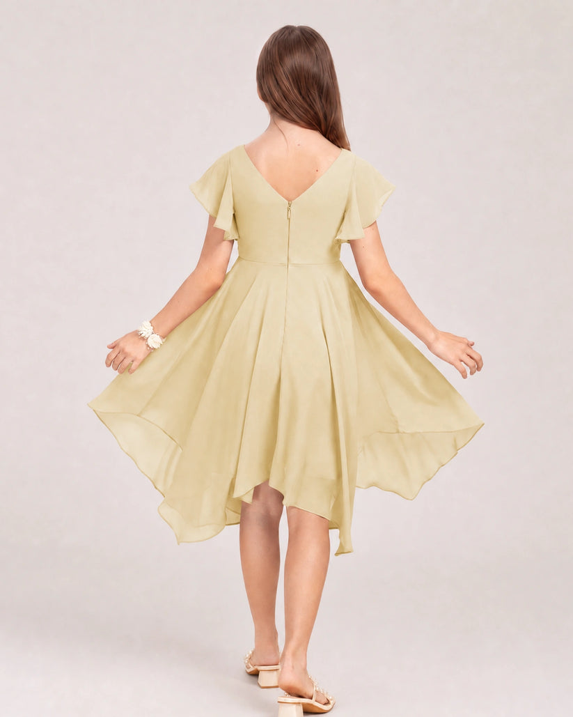 Champagne Chiffon A-line Junior Bridesmaid Dress Back View