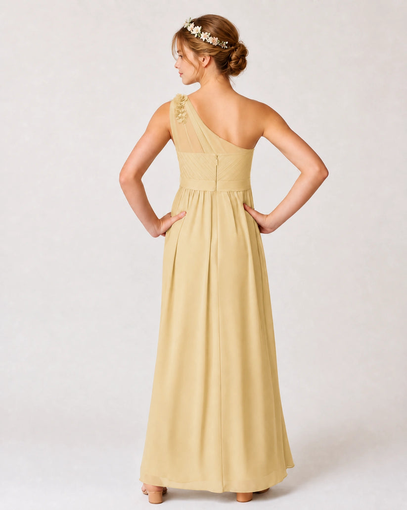 Champagne Chiffon A-line Junior Bridesmaid Dress Back View