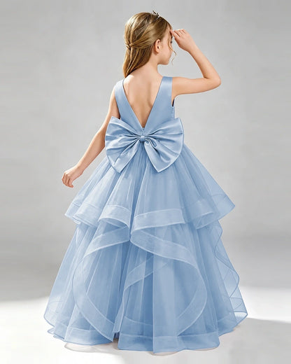 Dusty Blue Organza A-line Pageant Dress Back View