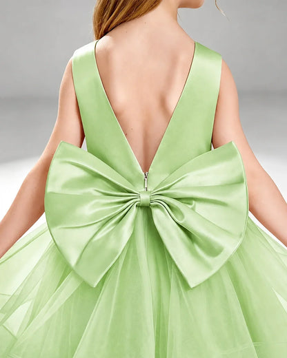 Sage Green Tulle A-line Pageant Dress Back View