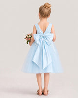 Baby Blue Satin and Tulle A-Line Flower Girl Dresses Back View