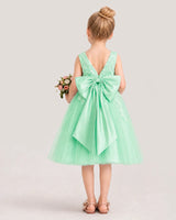 Mint green satin and tulle V-back flower girl dress, Back View