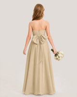 Champagne Chiffon A-line Junior Bridesmaid Dresses Back View