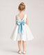 Baby Blue Satin Flower Girl Dress Back View