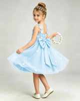 Baby Blue Tulle A-line Girls Formal Dress Back View