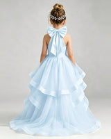 Baby Blue Tulle A-line Pageant Dress Back View
