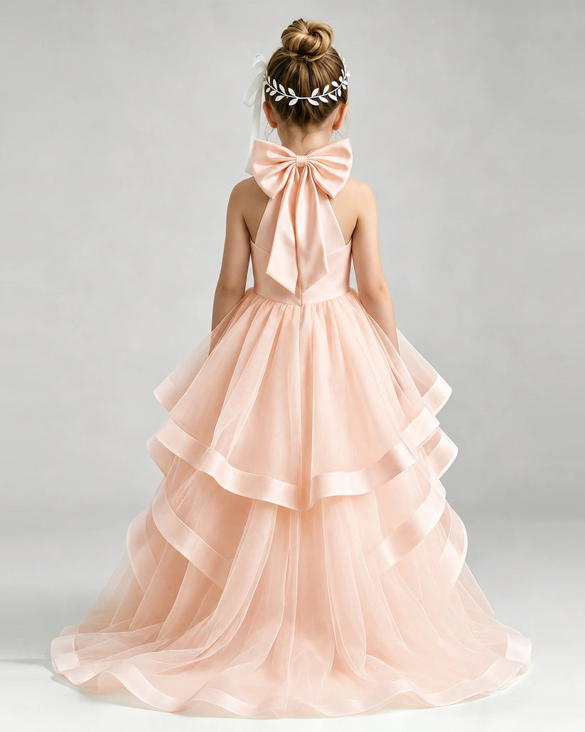 Blush Pink Tulle A-line Pageant Dress Back View