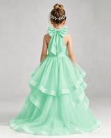 Mint Green Tulle Ball Gown Pageant Dress Back View