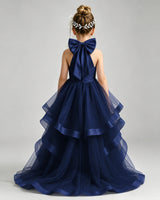 Navy Blue Tulle A-line Pageant Dress Back View