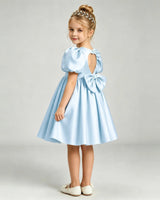 Baby Blue Satin A-line Flower Girl Dress Back View