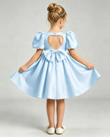Baby Blue Satin A-line Flower Girl Dress Back View