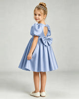 Dusty Blue Satin A-line Flower Girl Dress Back View