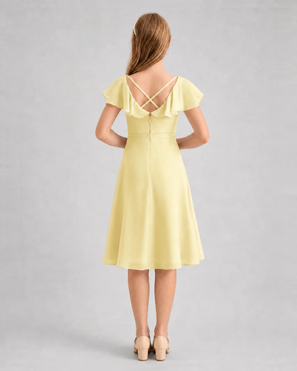 Daffodil Chiffon A-Line Junior Bridesmaid Dresses Back View