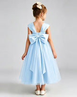 Baby Blue Tulle A-line Flower Girl Dress Back View