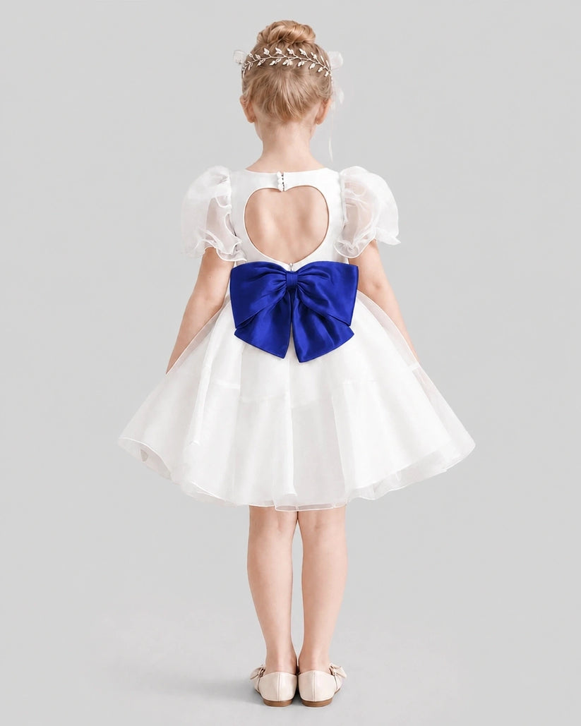 Royal Blue Satin A-Line Flower Girl Dresses Back View