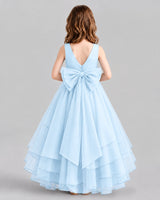 Baby Blue Ball Gown Flower Girl Dresses Back