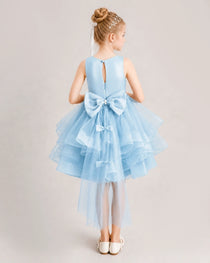 Baby Blue Flower Girl Dress Satin Bow Tiered Tulle Knee-Length Dress Back View