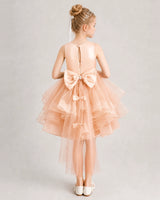 Blush Pink Tulle A-line Girls Formal Dress Back View
