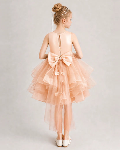 Blush Pink Flower Girl Dress Satin Bow Tiered Tulle Knee-Length Dress Back View