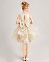 Champagne Tulle A-line Girls Formal Dress Back View