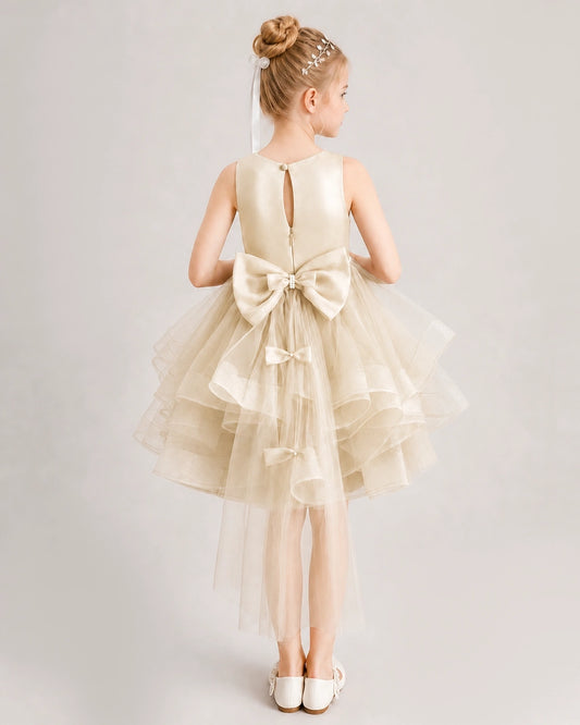 Champagne Tulle A-line Girls Formal Dress Back View