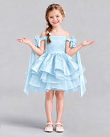 Baby Blue A-line Girls Formal Dresses Back