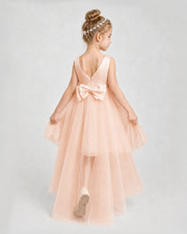 Blush Pink Satin Tulle A-line Pageant Dress Back View