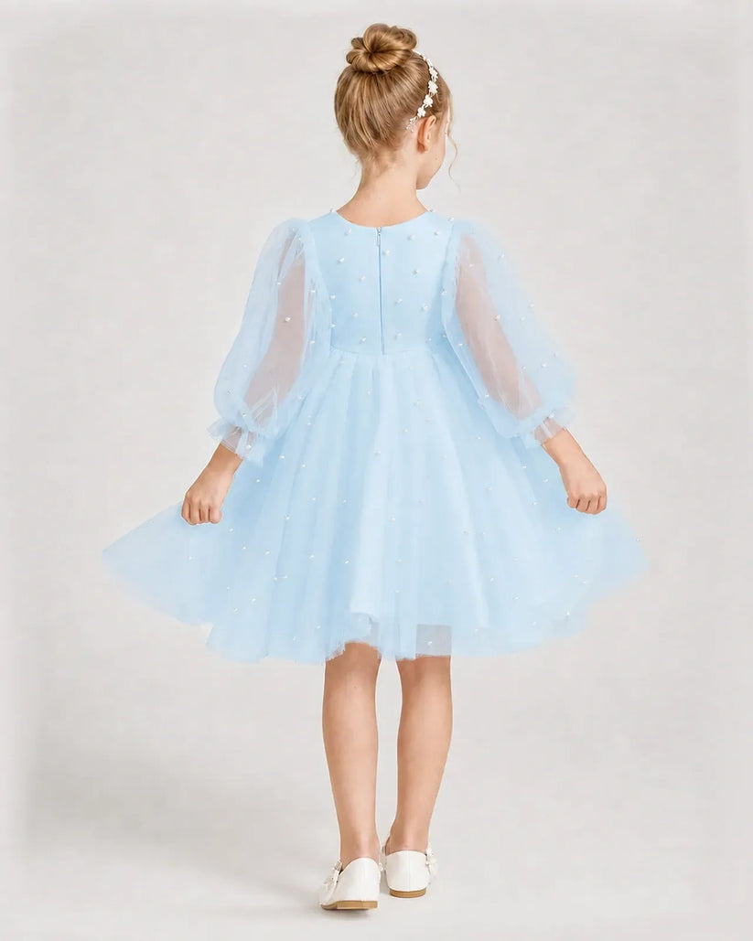Baby blue tulle puff sleeve A-line girls formal dresses Back View