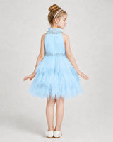 Baby blue tulle tiered halter neck girls formal dress, Back View