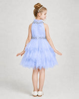 Lavender Tulle Halter Ruffled Girls Formal Dresses Back View
