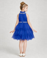 Royal Blue Tulle Halter Ruffled Tiered Girls Formal Dresses Back View