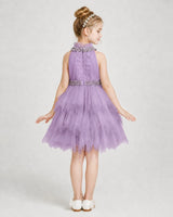 Wisteria Tulle Halter Ruffle Girls Formal Dresses Back View