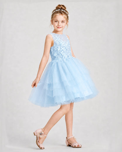 Dideyttawl Embroidered Tiered Tulle Girl Formal Dress