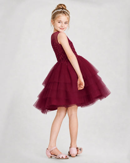 Dideyttawl Embroidered Tiered Tulle Girl Formal Dress