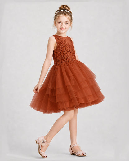 Dideyttawl Embroidered Tiered Tulle Girl Formal Dress