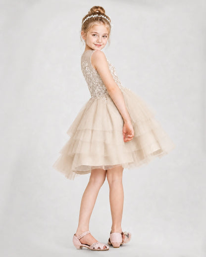 Dideyttawl Embroidered Tiered Tulle Girl Formal Dress