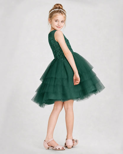 Dideyttawl Embroidered Tiered Tulle Girl Formal Dress