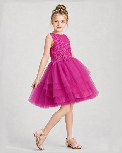 Dideyttawl Embroidered Tiered Tulle Girl Formal Dress