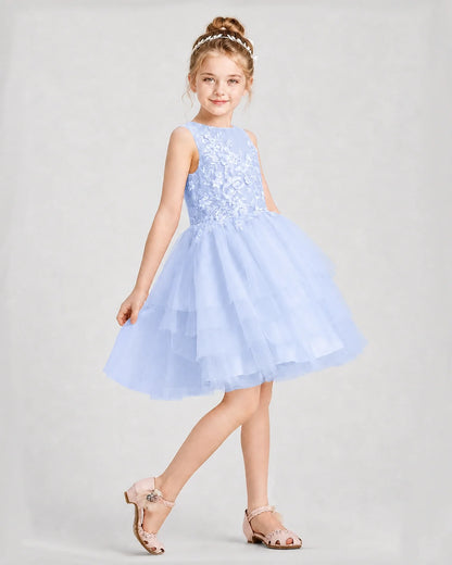 Dideyttawl Embroidered Tiered Tulle Girl Formal Dress